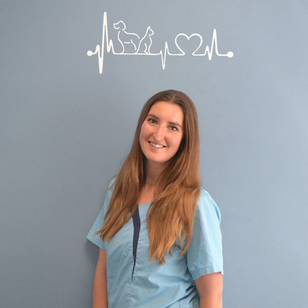 Clinique vétérinaire de la Croix Bleue, dans le Gard