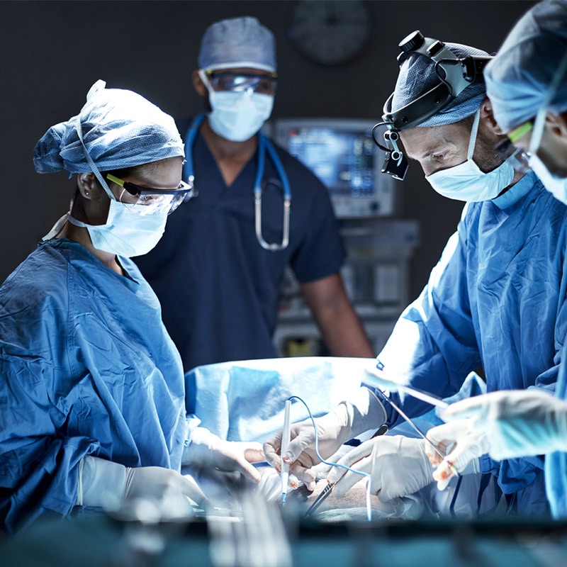 chirurgie à haute technicité clinique vétérinaire dans le Gard