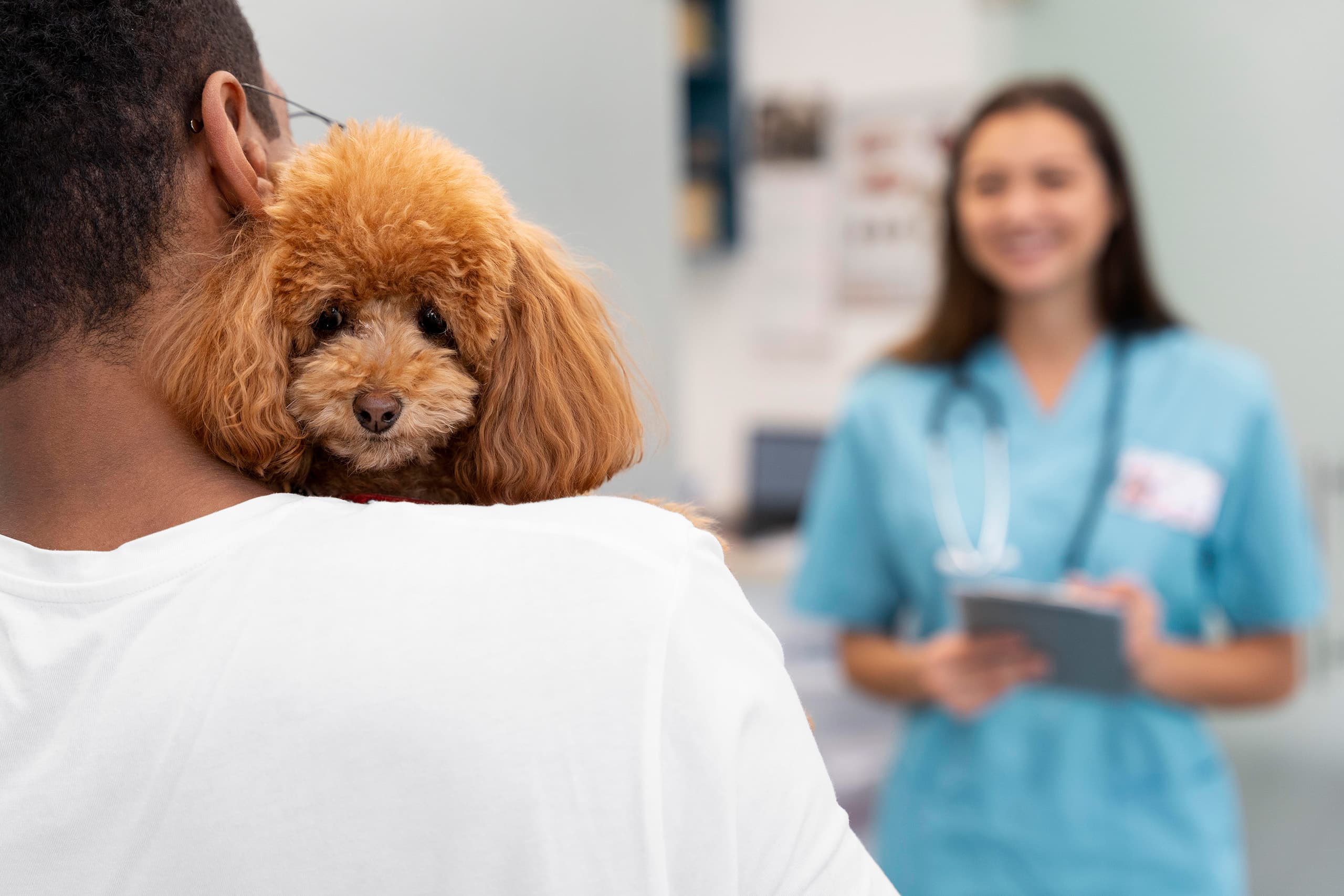 protocole de vaccination clinique vétérinaire dans le gard