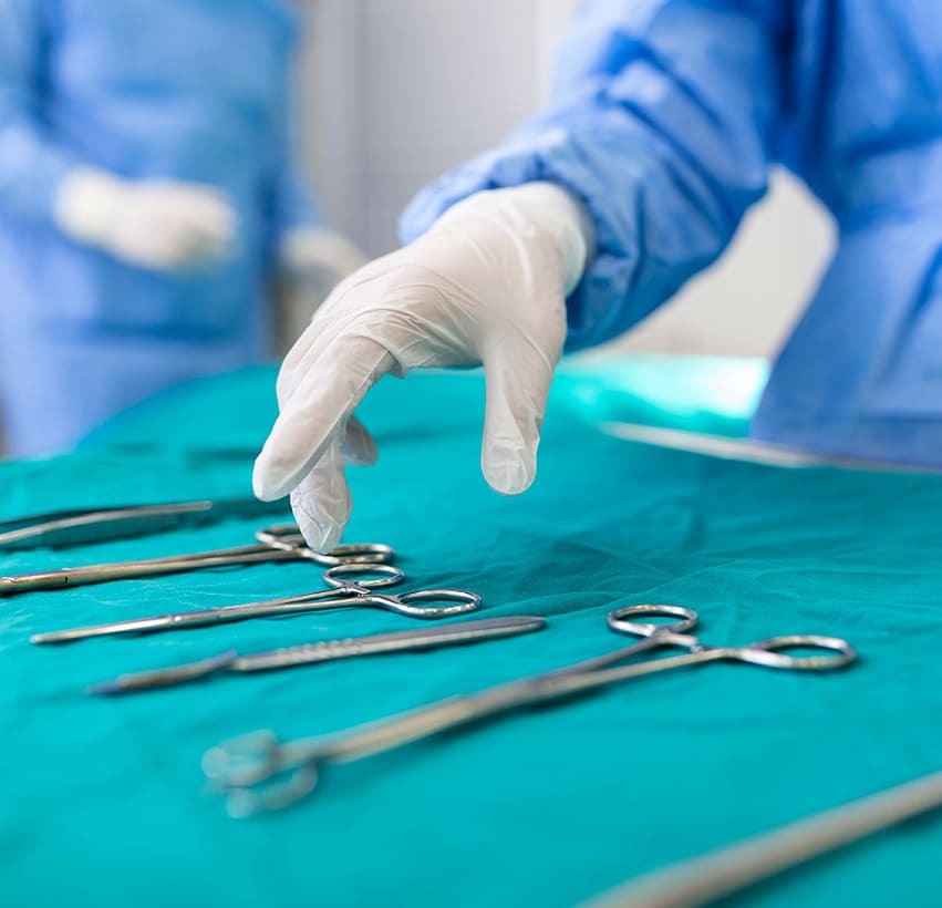 chirurgie générale clinique vétérinaire chirurgie générale clinique vétérinaire dans le Gard