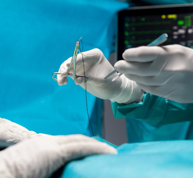 chirurgie des tissus mous clinique vétérinaire dans le Gard